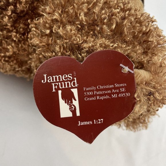 Family Christian Stores Brown Teddy Bear 12” Plush Curly Fur James Fund w/Tags - Picture 8 of 10